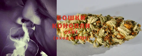спайс Богданович