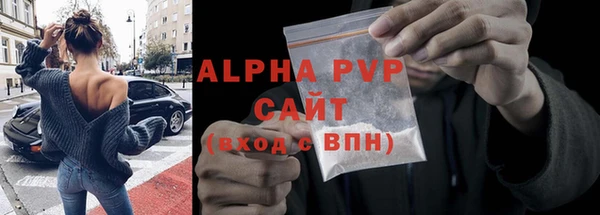 спайс Богданович