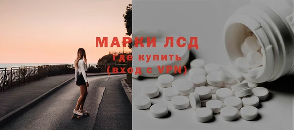 спайс Богданович