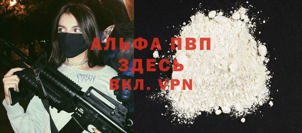 спайс Богданович