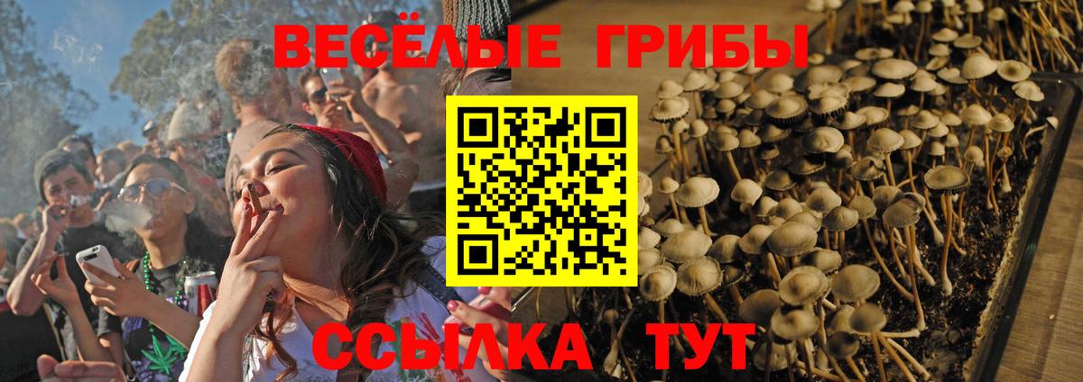 Воскресенск  Галлюциногенные грибы GOLDEN TEACHER  Галлюциногенные грибы ЛСД  Вход с VPN 