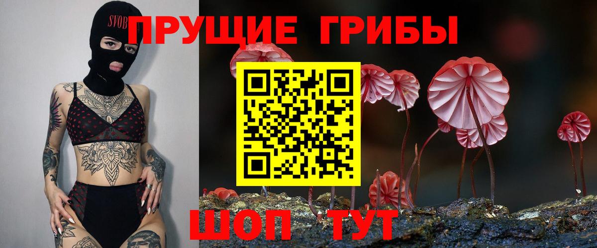Галлюциногенные грибы мухоморы Воскресенск